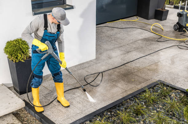 Best Pressure Washing Driveway  in Burkesville, KY